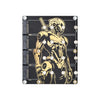 Raspberry Pi 5 PCIe To 4-Ch M.2 Adapter Board 4 x NVMe Solid State Drives support Supply detail image 2
