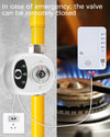 eWelink APP WiFi Smart Valve Water Gas Shutoff Automated Ball Valve DN15/DN20/DN25 Wireless detail image 11
