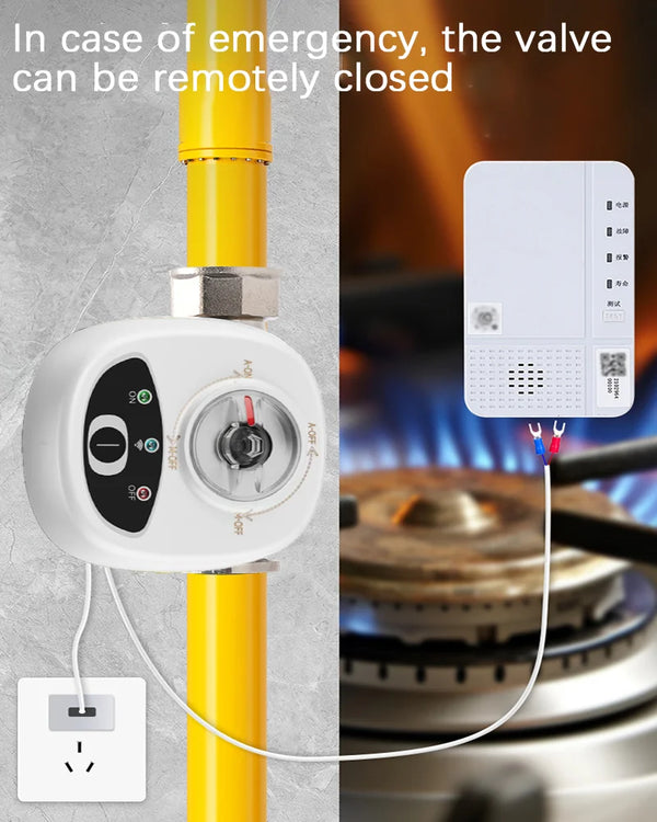 eWelink APP WiFi Smart Valve Water Gas Shutoff Automated Ball Valve DN15/DN20/DN25 Wireless detail image 3