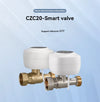 eWelink APP WiFi Smart Valve Water Gas Shutoff Automated Ball Valve DN15/DN20/DN25 Wireless detail image 9