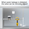 eWelink APP WiFi Smart Valve Water Gas Shutoff Automated Ball Valve DN15/DN20/DN25 Wireless detail image 2