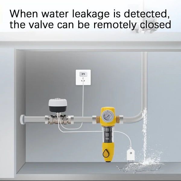 eWelink APP WiFi Smart Valve Water Gas Shutoff Automated Ball Valve DN15/DN20/DN25 Wireless detail image 2