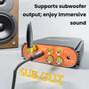 Bluetooth 5.3 HiFi Power Amplifier TPA3255 Chip 600W Dual Channel DSP Sound Tuning for Home detail image 4